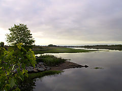 photo "The Morning"