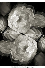 photo "RoSeS"
