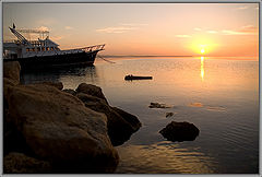 photo "Hi new day."