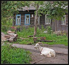 photo "Suzdal. Away from tourist routes"