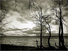 photo "***"
