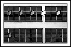 фото "Windows of Democracy"