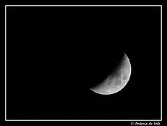 photo "Lua D"