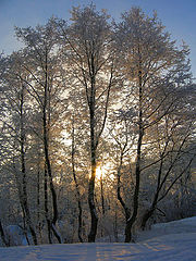 фото "Небесный зимний свет..."