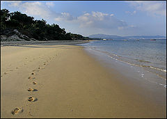 фото "Step by step"