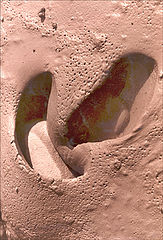 photo "clay"
