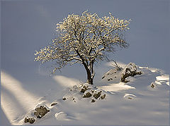 фото "winter scape 2"