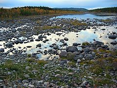 photo "River bed"