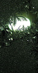 photo "***"