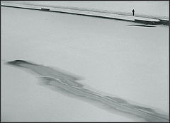 photo "Loneliness"