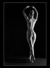 фото "Elegance"