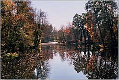 photo "Rhythms of fall"