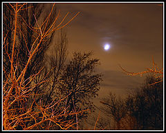 photo "Night etude"