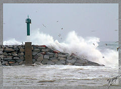 фото "- strong - fuerza -"