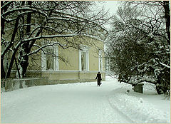 фото "В зимнем парке"