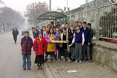 photo "Busstop"