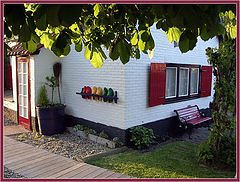 photo "The Dutch homestead"