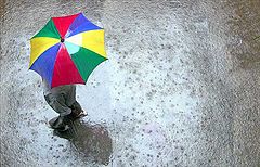 photo "Rain"