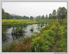 photo "Autumn on Yauza (#4)"