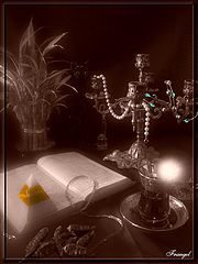 photo "A touch of Orient !"