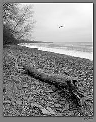 photo "estuary of Mius"