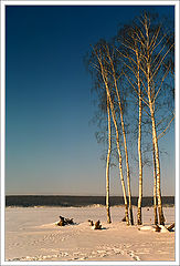 photo "January morning"