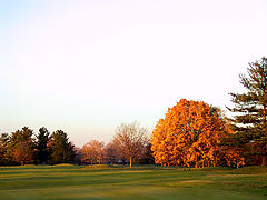 photo "Gold'sFall"