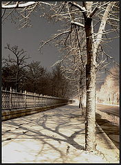 photo "Road to freeze"