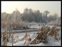фото "Река Яуза"