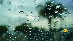 photo "Headlights"