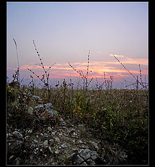 photo "***"