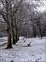 фото "Silence"