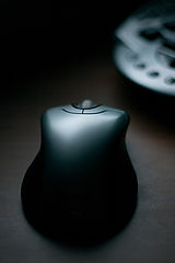 photo "Body curves"