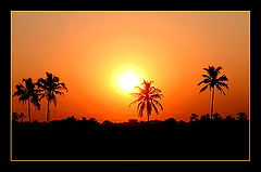 фото "Orange sunset"