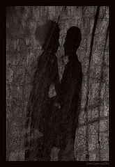 photo "Shadow"