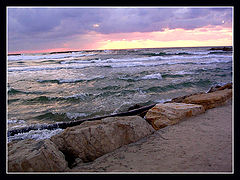 фото "Лохматое море"