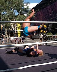 фото "Soft Landing"