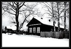 photo "Black-white winter..."