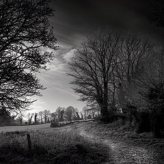 фото "Christmas Country"
