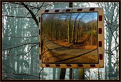 фото "mirror landscape"