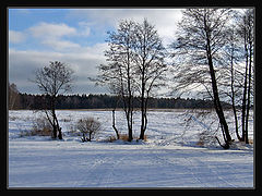 photo "***"