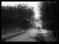 фото "Ecliptic"