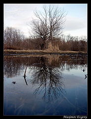 photo "Mirror"
