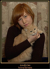 photo "Lovely Cats."