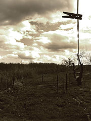 photo "***"