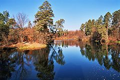 photo "The last saturday of October"