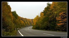 фото "highway"