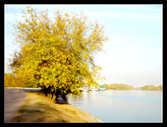 photo "***"