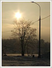 фото "Зимнее солнце"