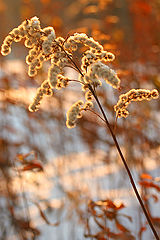 photo "Who has told, what the winter is not beautiful?"